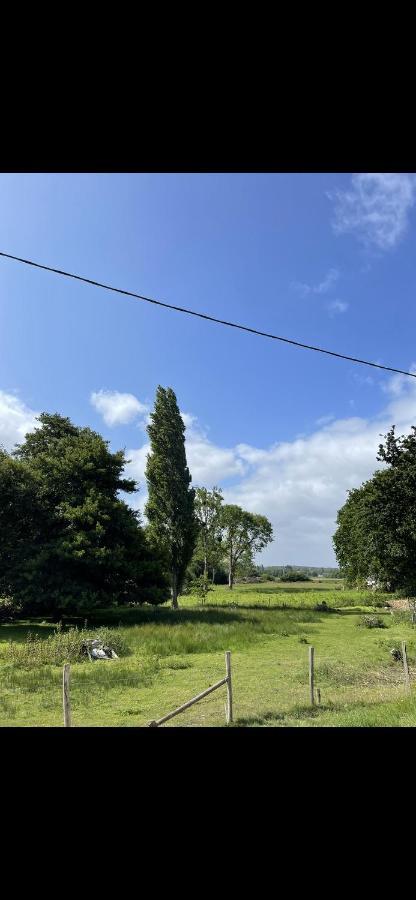 St Malo A 15 Min Et 10 Min De Dinard Villa Pleurtuit Eksteriør bilde